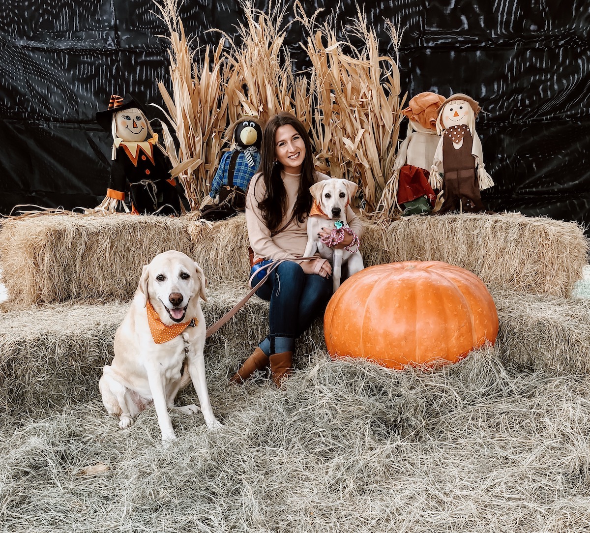 Bella and Lola's First Pumpkin Patch | Cathedrals & Cafes Blog