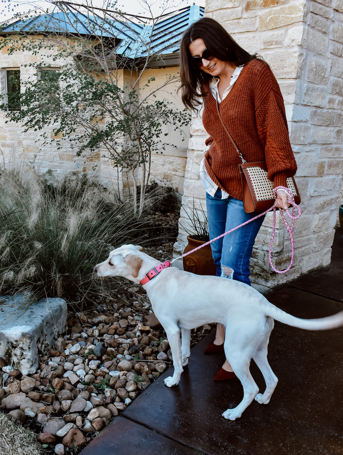 Dog Mom Life Update & Products I'm Loving | Cathedrals & Cafes Blog