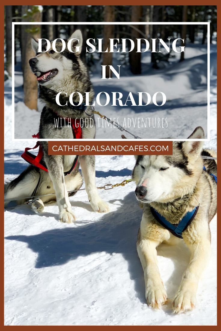 Dog Sledding in Colorado | Cathedrals & Cafes Blog