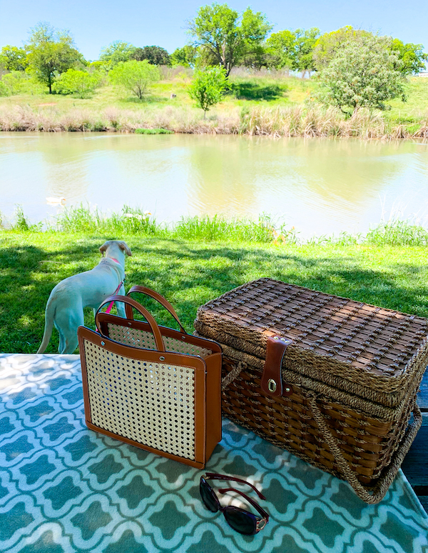 Willow City Loop Bluebonnets | Cathedrals & Cafes Blog