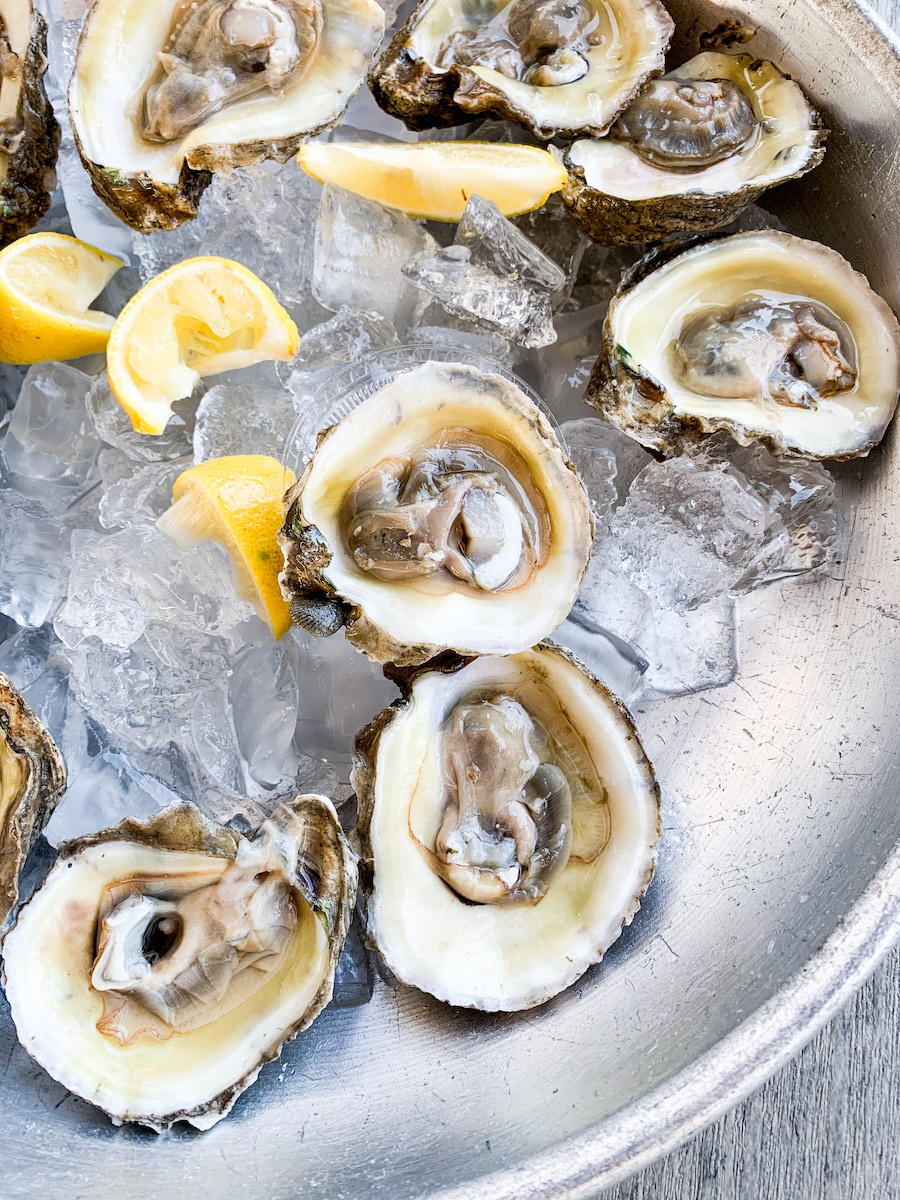 Eat+Stay+Play South Padre Island, Texas Cathedrals & Cafes Blog