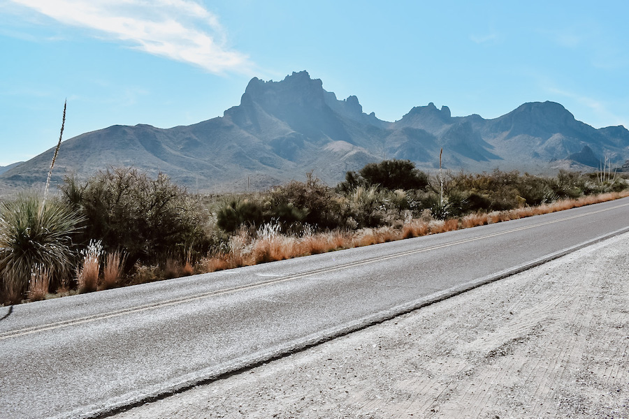 Tips For Visiting Big Bend National Park With Your Dog | Cathedrals & Cafes Blog