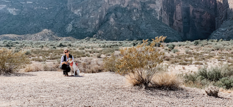 Big Bend With Dogs