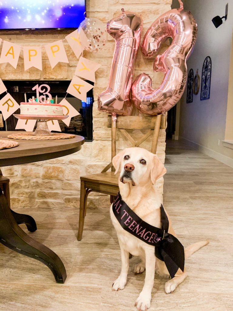 Dog Mom Life: Bella's 13th Birthday Party | Cathedrals & Cafes Blog