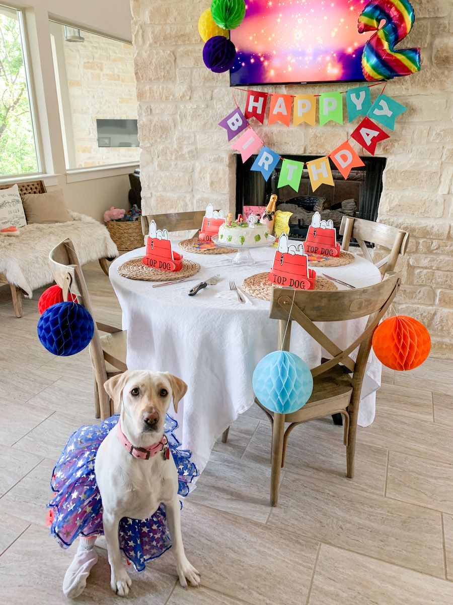 Lola's Snoopy Birthday Party | Cathedrals & Cafes Blog