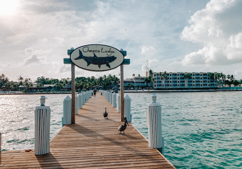 Eat + Stay + Play: Miami & The Florida Keys Travel Guide | Cathedrals & Cafes Blog