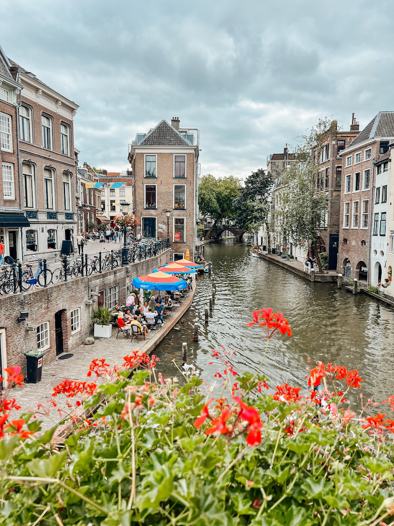 Day Trip to Utrecht with Your Dog | Cathedrals & Cafes Blog