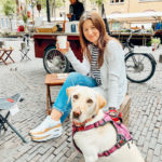 Day Trip to Utrecht with Your Dog | Cathedrals & Cafes Blog