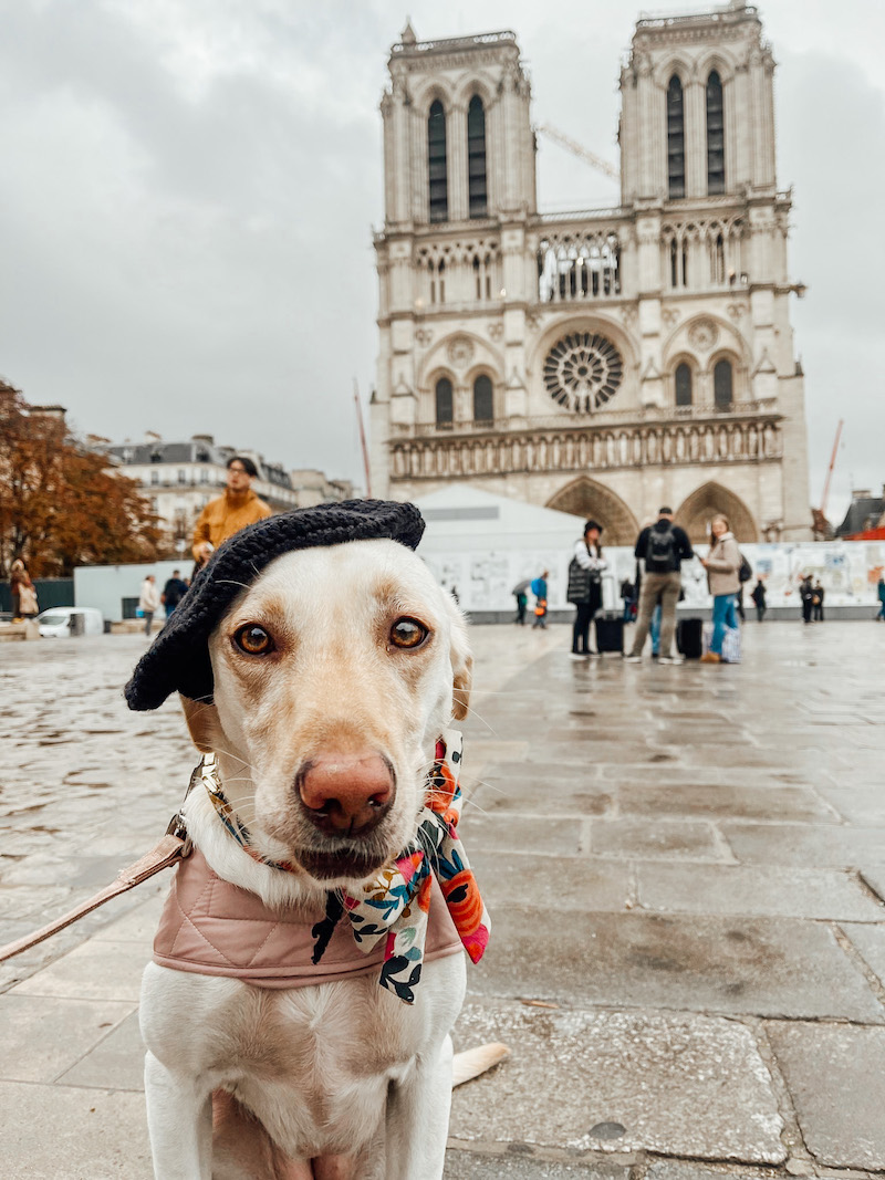 Weekend in Paris With Lola | Cathedrals & Cafes | Travel and Style Blog