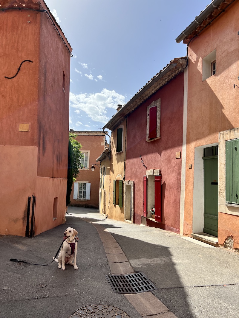 Mon Journal Français: Day 5 - Roussillon