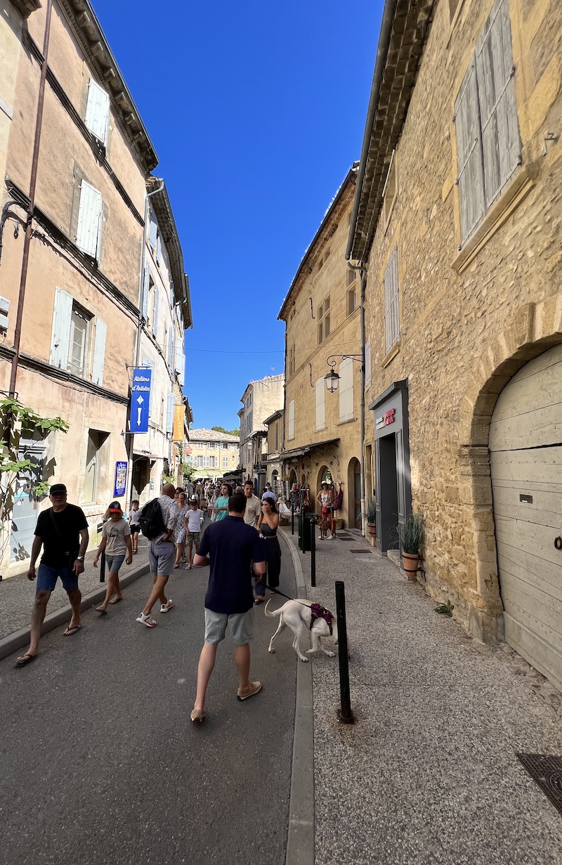 Mon Journal Français: Day 6 - Lourmarin | Cathedrals & Cafes Blog