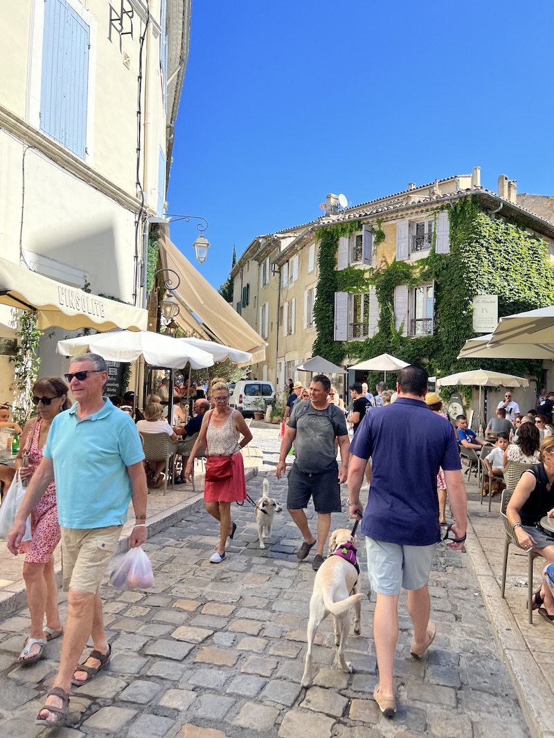 Mon Journal Français: Day 6 - Lourmarin | Cathedrals & Cafes Blog