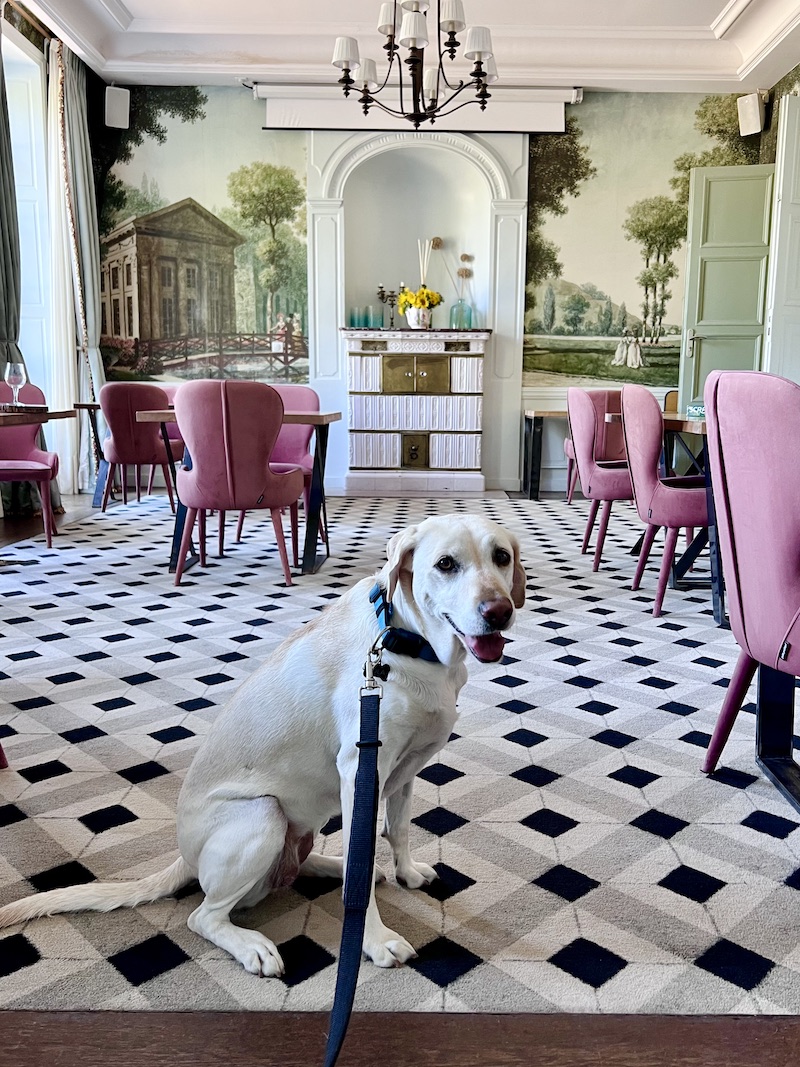 Eat+Stay+Play Provence Travel Guide | Cathedrals & Cafes Blog