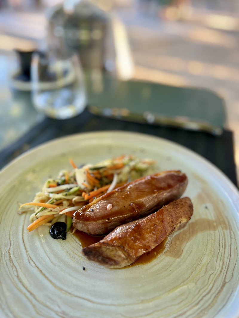 Eat+Stay+Play Provence Travel Guide | Cathedrals & Cafes Blog