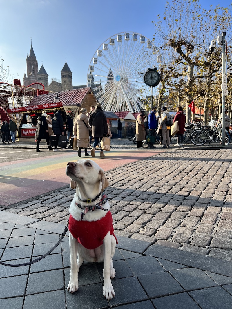 Maastricht Christmas Market | Cathedrals & Cafes Blog