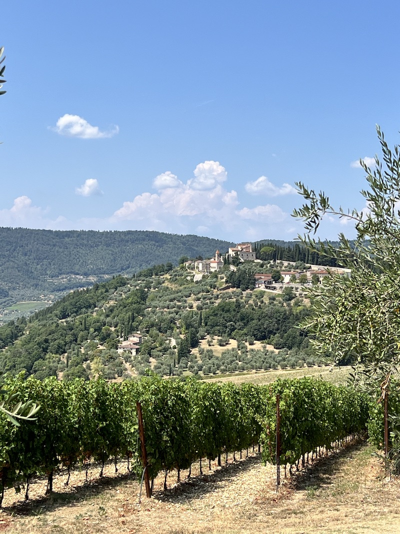 Taste of Tuscany: Restaurants and Vineyards We Loved | Cathedrals & Cafes Blog