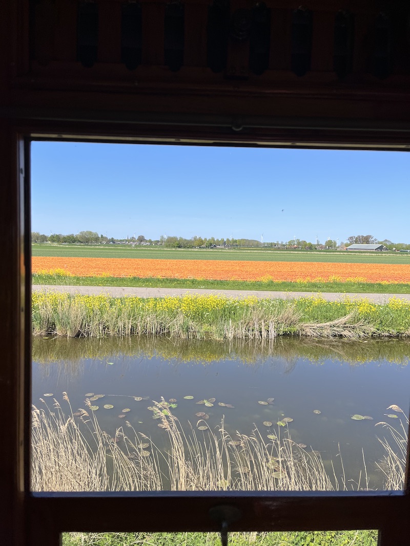 All Aboard for Blooms: Riding the Steam Tram Through Holland's Tulips | Cathedrals & Cafes Blog