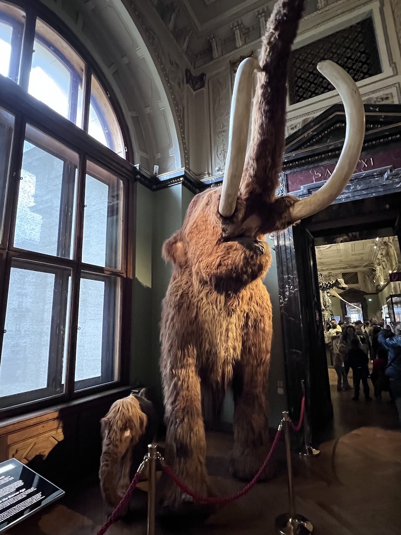 Eat + Stay + Play: Vienna, Austria | Cathedrals & Cafes Blog