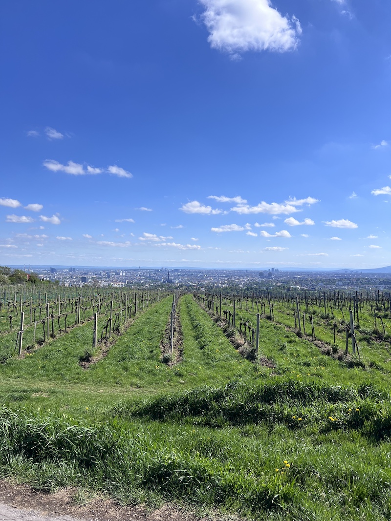 Eat + Stay + Play: Vienna, Austria | Cathedrals & Cafes Blog