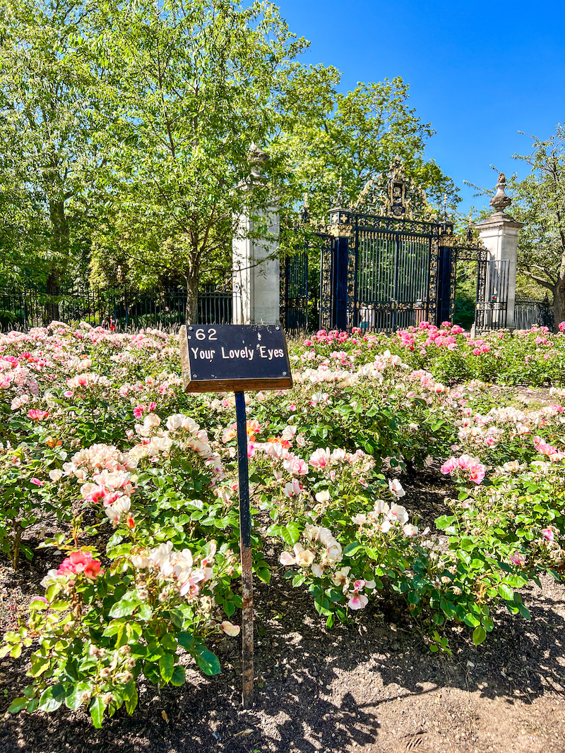 My Favorite Spots and Hidden Gems in London's West End | Cathedrals & Cafes Blog